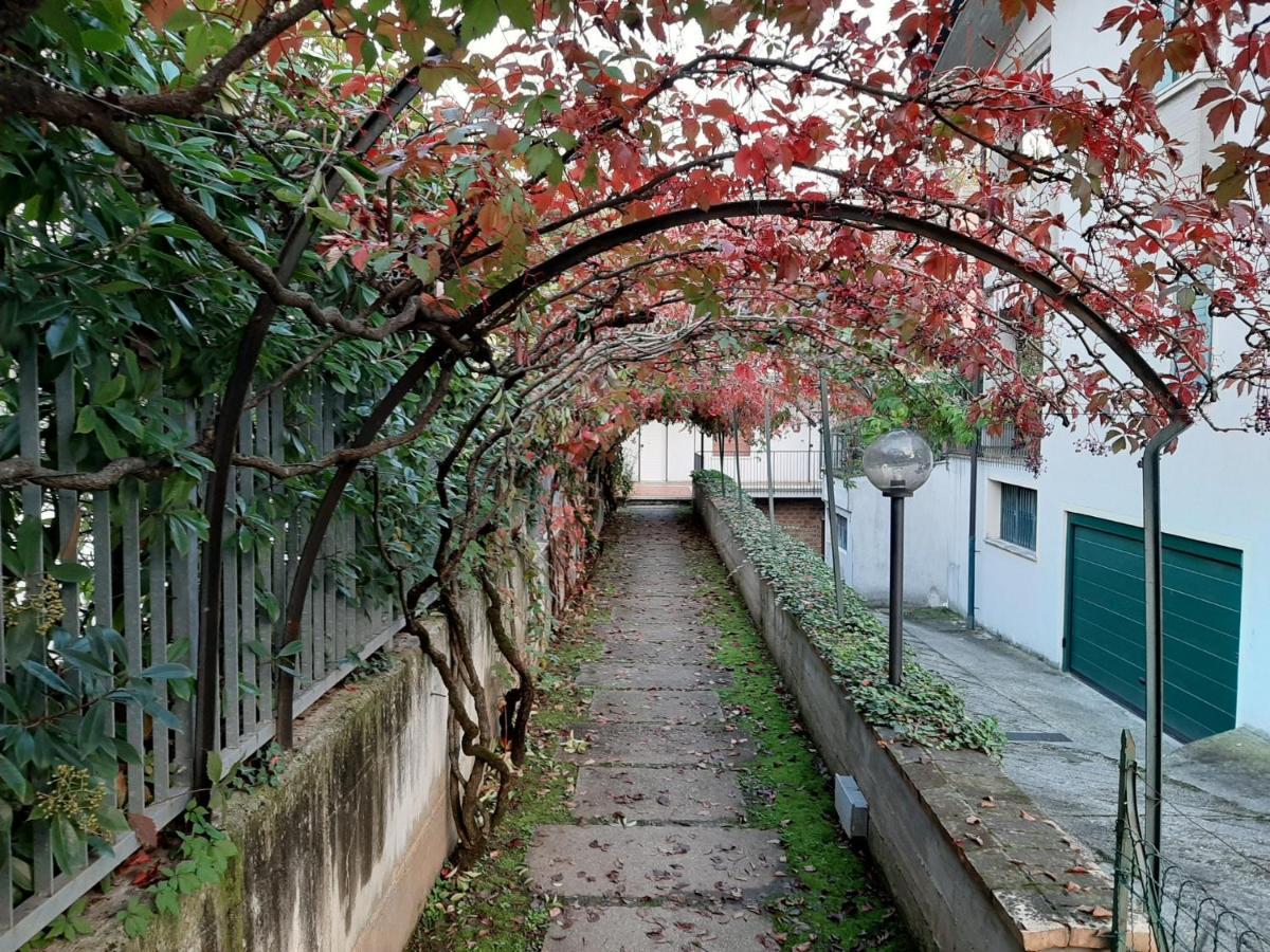 Appartamento Genziana - Con Vista Piscina E Garage Sirmione Zewnętrze zdjęcie